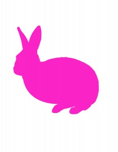 lapinlievre3